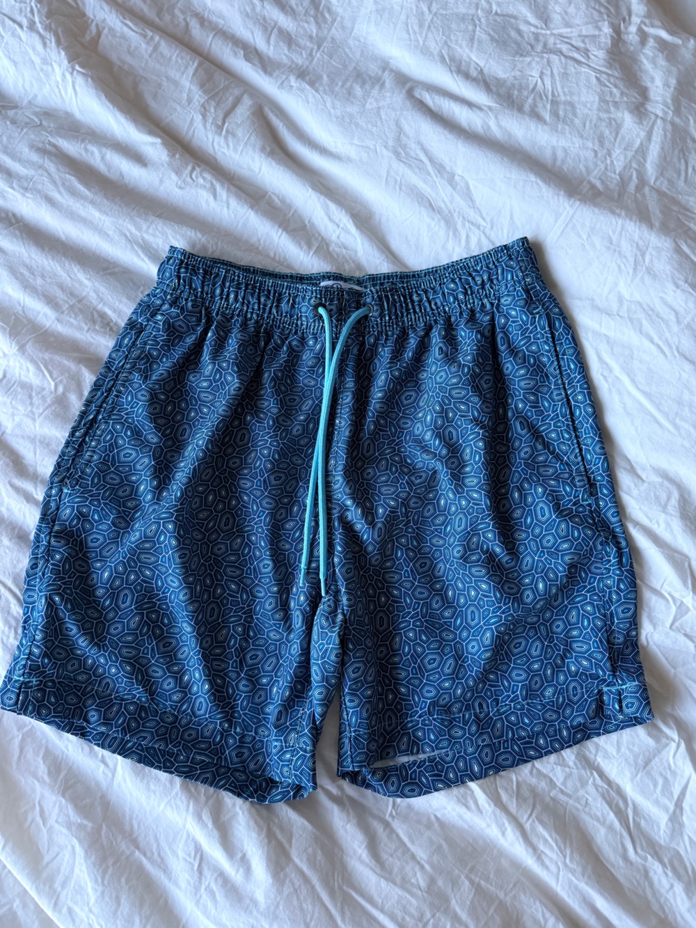 Mr.Swim Blue Patterned Men’s Swim Trunks with Aqua Drawstring